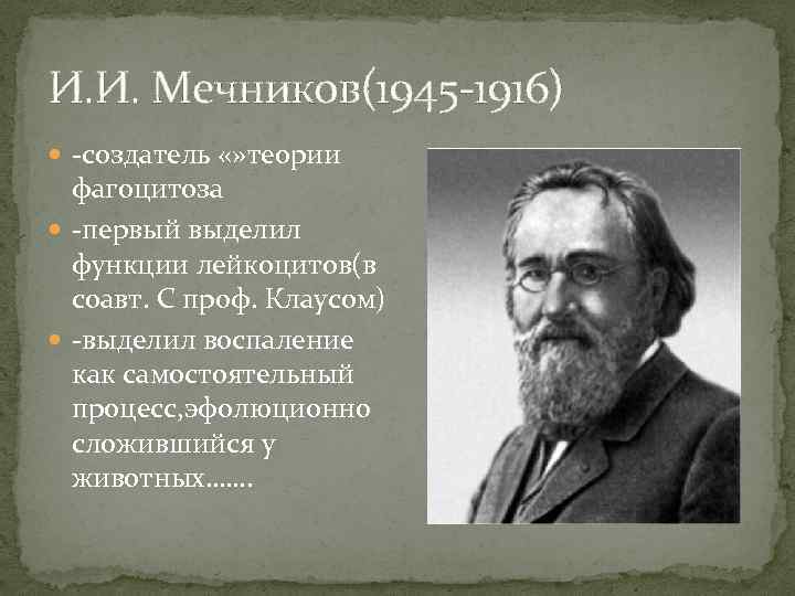 Мечников владивосток. Илья Мечников фагоцитоз. Учение Мечникова. Мечников фагоцитарная теория. Теория фагоцитоза Мечникова.