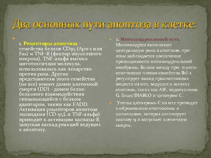 Два основных пути апоптоза в клетке: 1. Рецепторы апоптоза - семейства белков CD 95