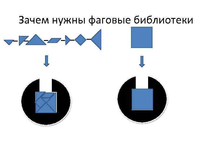 Зачем нужны фаговые библиотеки 
