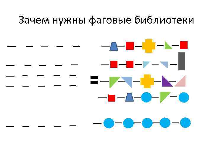 Зачем нужны фаговые библиотеки 
