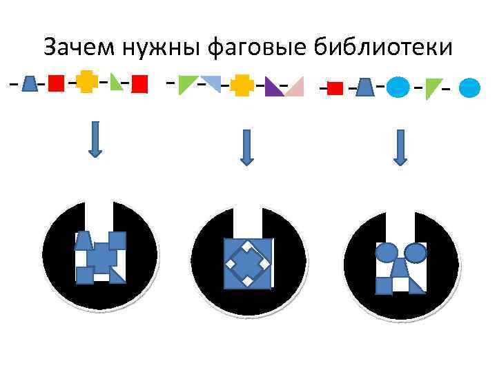 Зачем нужны фаговые библиотеки 