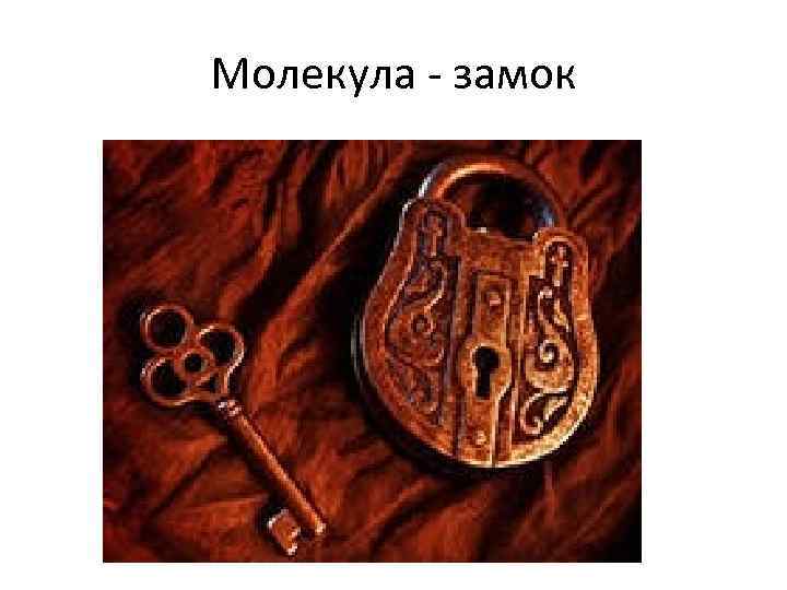 Молекула - замок 
