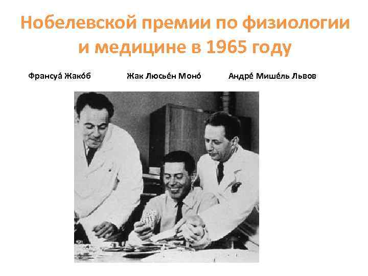 Нобелевская по медицине. 1969 Год Нобелевская премия по медицине и физиологии. Нобелевская премия по физиологии и медицине. Нобелевская премия по физиологии или медицине. Нобелевские лауреаты по медицине.