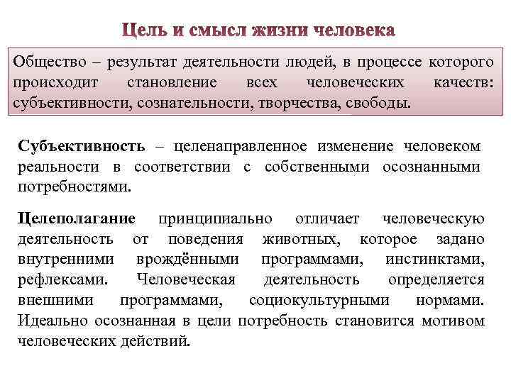 Общество – результат деятельности людей, в процессе которого происходит становление всех человеческих качеств: субъективности,