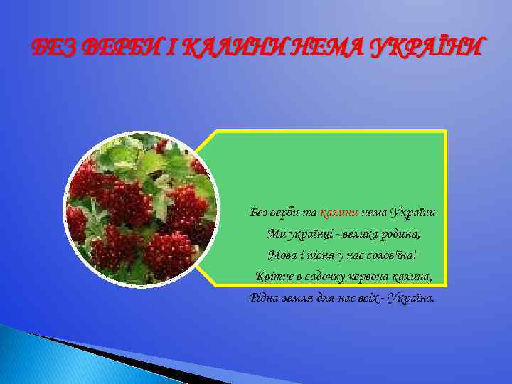 БЕЗ ВЕРБИ І КАЛИНИ НЕМА УКРАЇНИ Без верби та калини нема України Ми українці