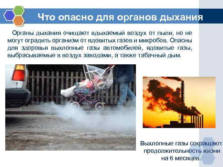 Что опасно для органов дыхания Органы дыхания очищают вдыхаемый воздух от пыли, но не