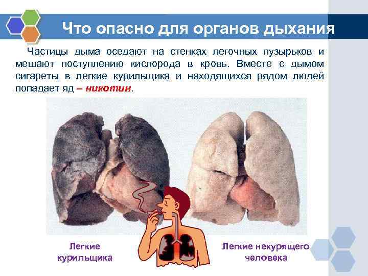 Что опасно для органов дыхания Частицы дыма оседают на стенках легочных пузырьков и мешают