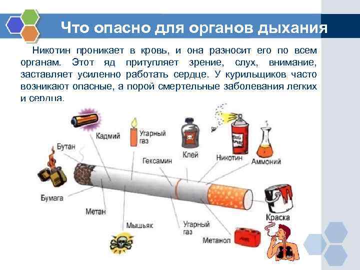Что опасно для органов дыхания Никотин проникает в кровь, и она разносит его по