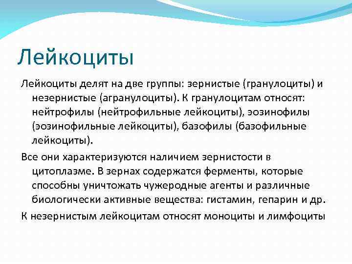 Лейкоциты делят на две группы: зернистые (гранулоциты) и незернистые (агранулоциты). К гранулоцитам относят: нейтрофилы