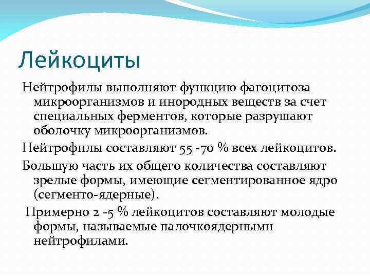 Лейкоциты Нейтрофилы выполняют функцию фагоцитоза микроорганизмов и инородных веществ за счет специальных ферментов, которые