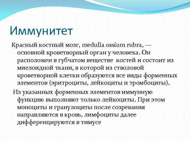 Иммунитет Красный костный мозг, medulla ossium rubra, — основной кроветворный орган у человека. Он