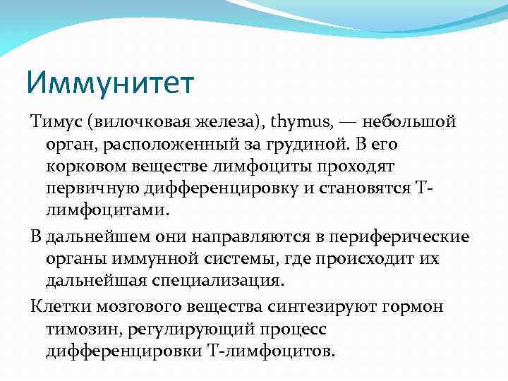Иммунитет Тимус (вилочковая железа), thymus, — небольшой орган, расположенный за грудиной. В его корковом