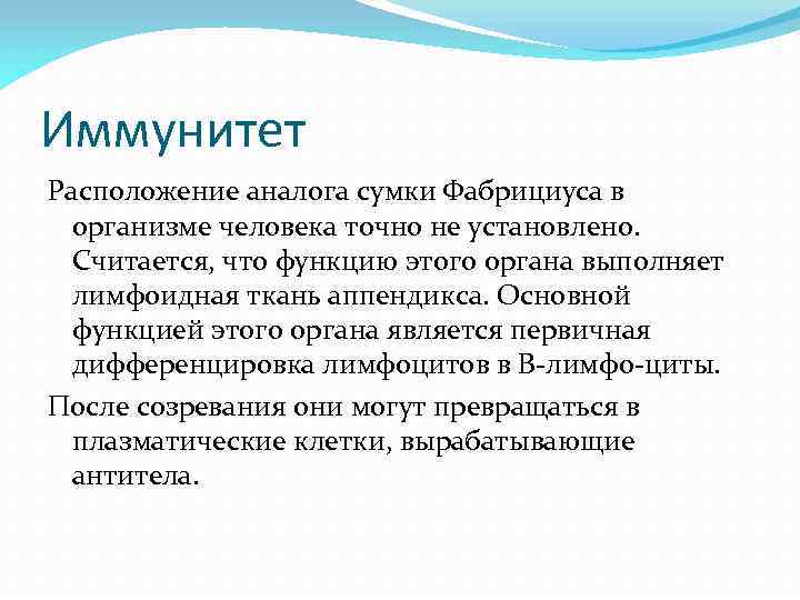 Иммунитет Расположение аналога сумки Фабрициуса в организме человека точно не установлено. Считается, что функцию