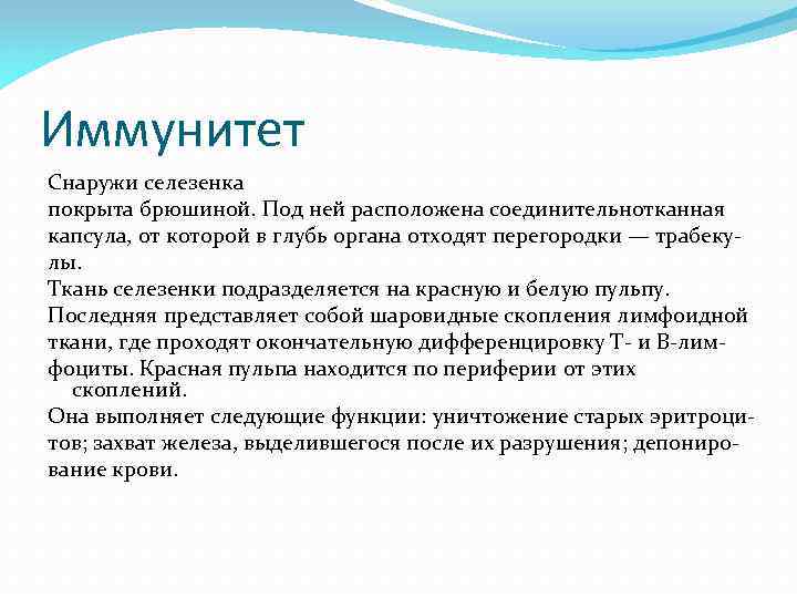 Иммунитет Снаружи селезенка покрыта брюшиной. Под ней расположена соединительнотканная капсула, от которой в глубь