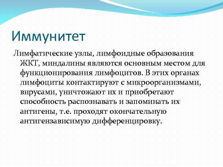 Иммунитет Лимфатические узлы, лимфоидные образования ЖКТ, миндалины являются основным местом для функционирования лимфоцитов. В