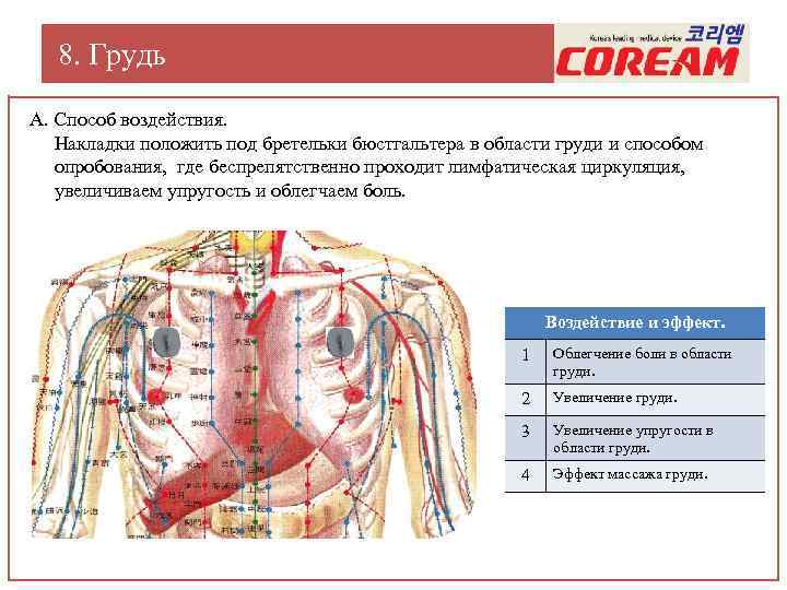8. Грудь А. Способ воздействия. Накладки положить под бретельки бюстгальтера в области груди и
