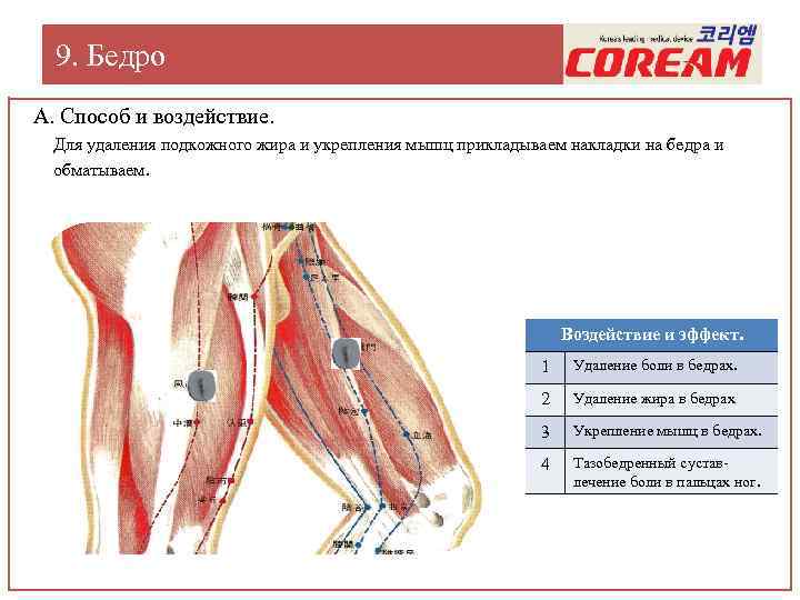 9. Бедро А. Способ и воздействие. Для удаления подкожного жира и укрепления мышц прикладываем