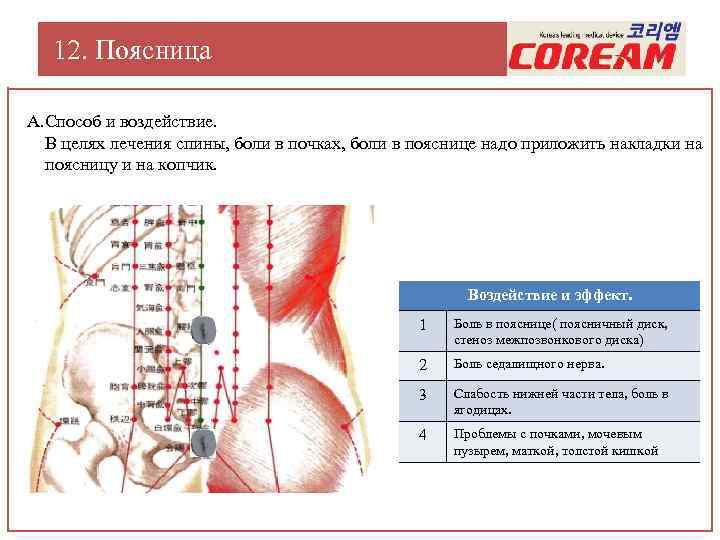 12. Поясница А. Способ и воздействие. В целях лечения спины, боли в почках, боли