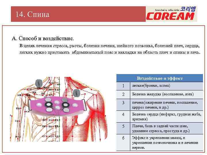 14. Спина А. Способ и воздействие. В целях лечения стресса, рвоты, болезни печени, шейного