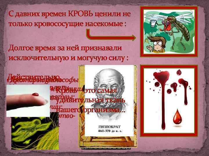 С давних времен КРОВЬ ценили не только кровососущие насекомые : Долгое время за ней