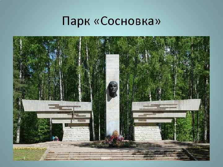 Парк «Сосновка» 