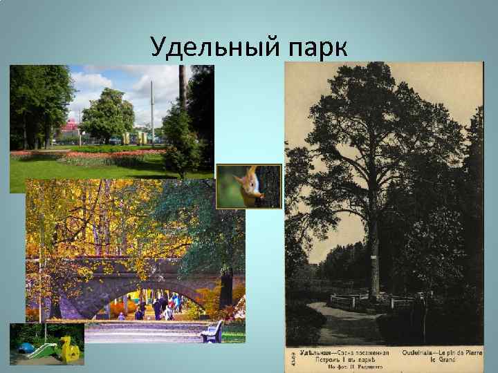 Удельный парк 