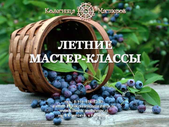 ЛЕТНИЕ МАСТЕР-КЛАССЫ тел. : 8 -916 -674 -52 -01 e-mail: info@kolesnicamasterov. ru www. kolesnicamasterov.