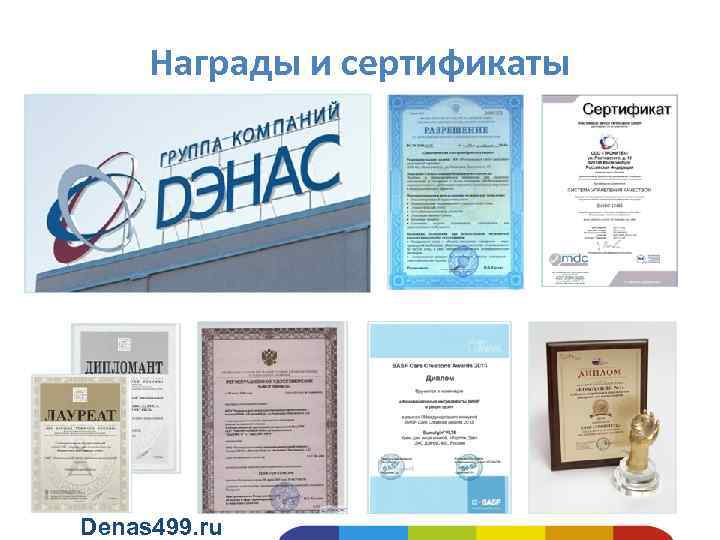 Награды и сертификаты Denas 499. ru 