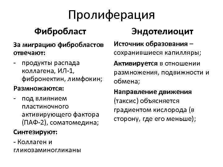 Пролиферация Фибробласт Эндотелиоцит За миграцию фибробластов отвечают: - продукты распада коллагена, ИЛ-1, фибронектин, лимфокин;