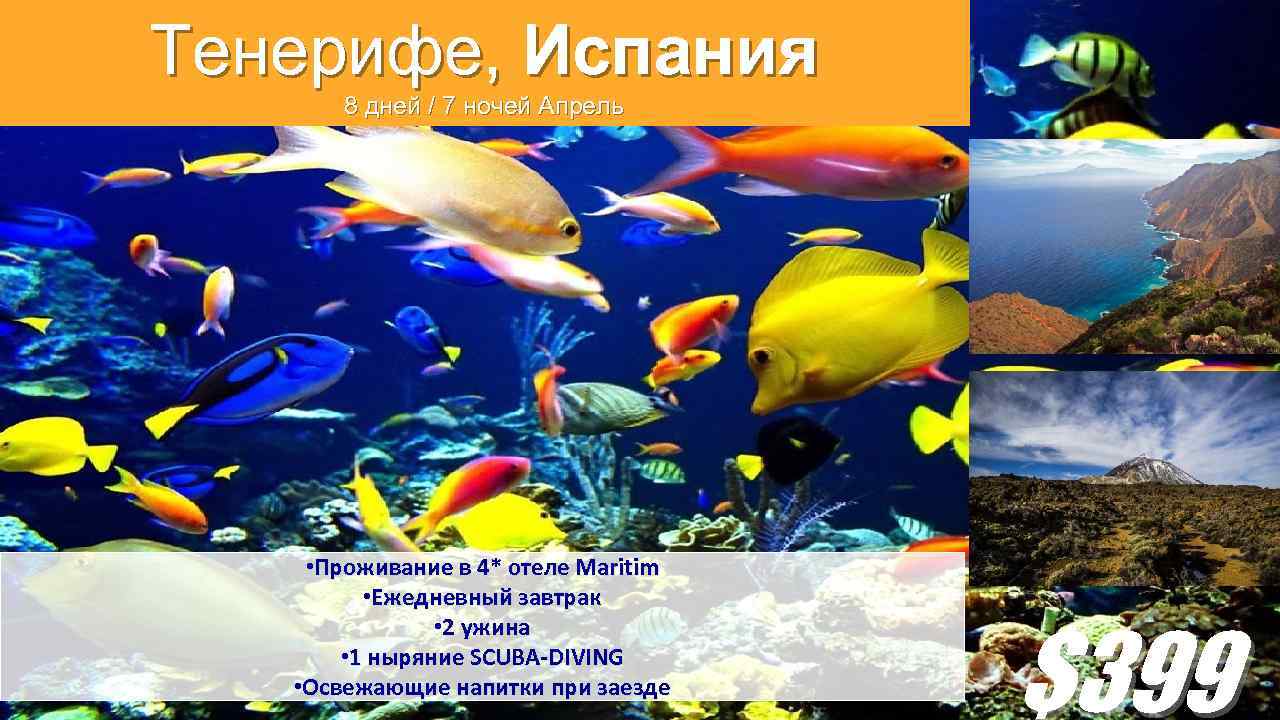 Тенерифе, Испания 8 дней / 7 ночей Апрель • Проживание в 4* отеле Maritim