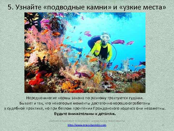 5. Узнайте «подводные камни» и «узкие места» Нередко многие нормы закона по разному трактуются