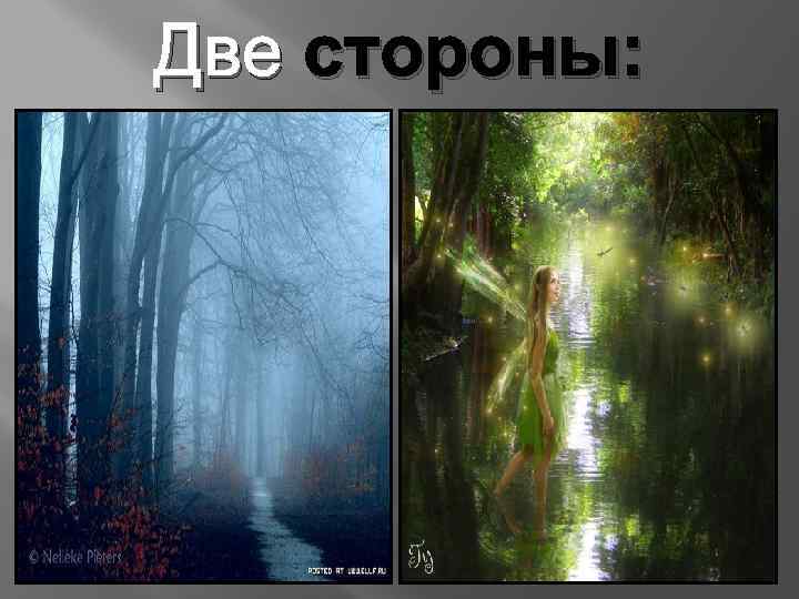 Две стороны: 