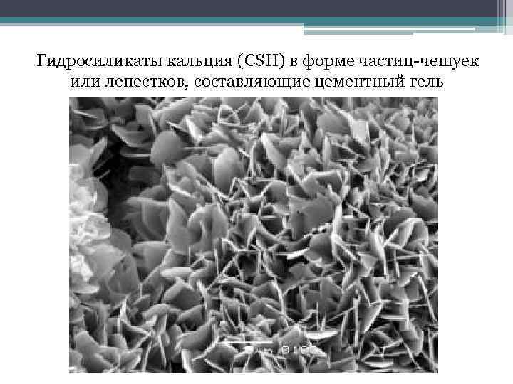 Гидросиликаты кальция (CSH) в форме частиц-чешуек или лепестков, составляющие цементный гель 