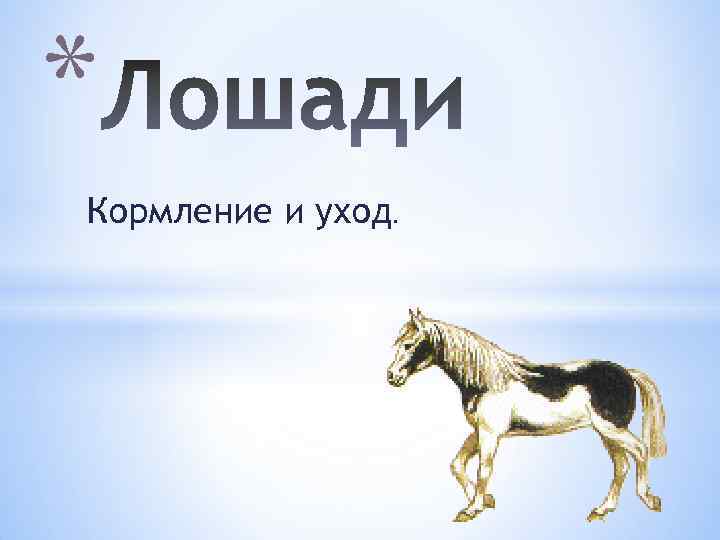 * Кормление и уход. 