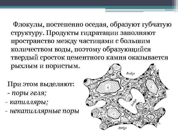 Флокулы, постепенно оседая, образуют губчатую структуру. Продукты гидратации заполняют пространство между частицами с большим