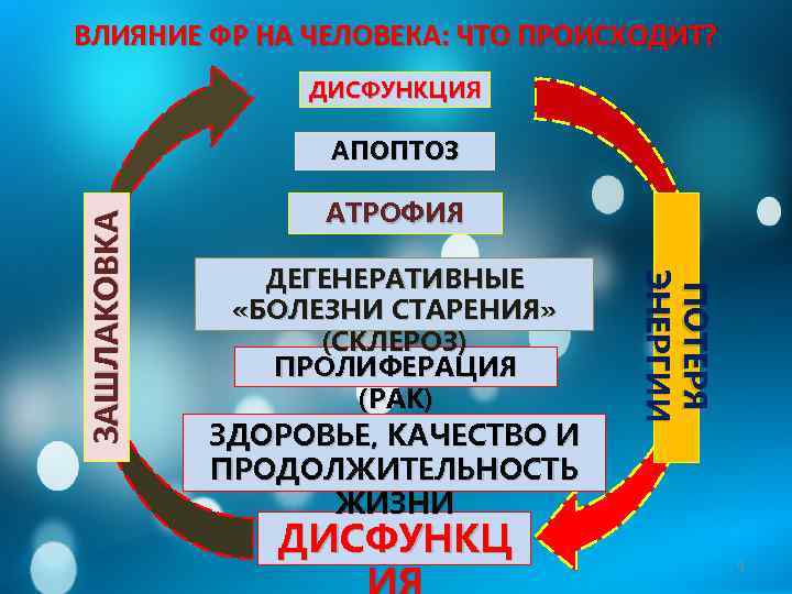 ВЛИЯНИЕ ФР НА ЧЕЛОВЕКА: ЧТО ПРОИСХОДИТ? ДИСФУНКЦИЯ АТРОФИЯ ДЕГЕНЕРАТИВНЫЕ «БОЛЕЗНИ СТАРЕНИЯ» (СКЛЕРОЗ) ПРОЛИФЕРАЦИЯ (РАК)