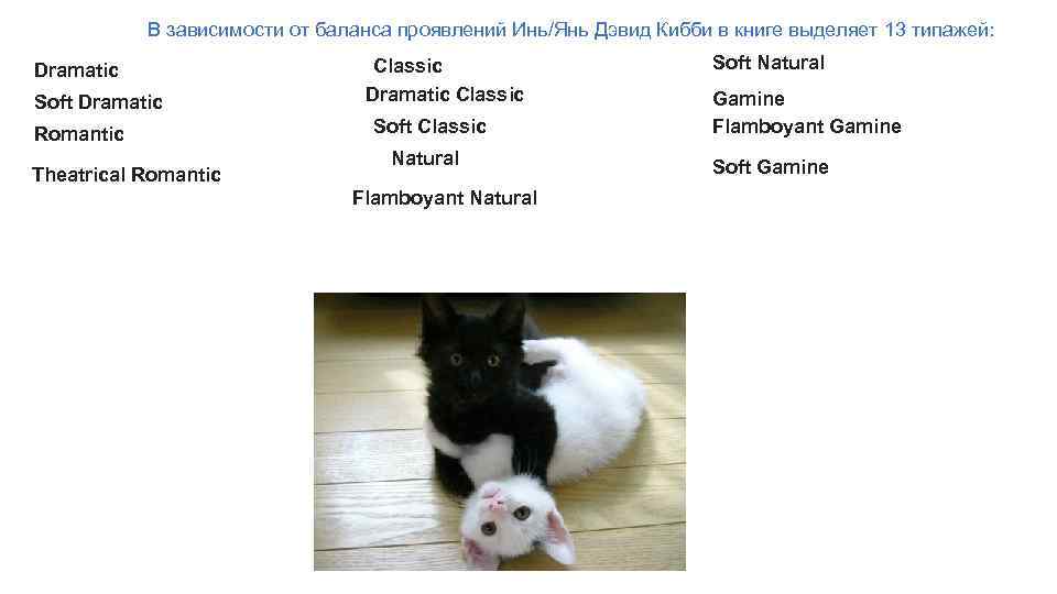 В зависимости от баланса проявлений Инь/Янь Дэвид Кибби в книге выделяет 13 типажей: Dramatic