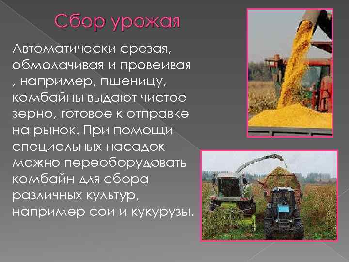 Сбор урожая Автоматически срезая, обмолачивая и провеивая , например, пшеницу, комбайны выдают чистое зерно,