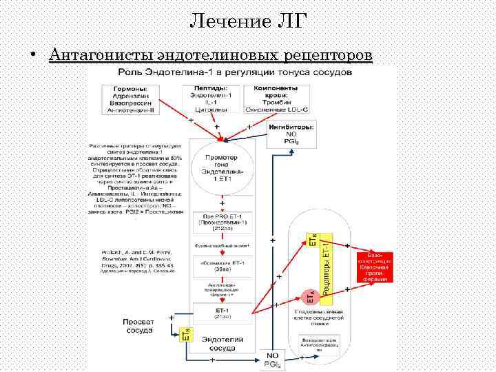 Лечение ЛГ • Антагонисты эндотелиновых рецепторов 