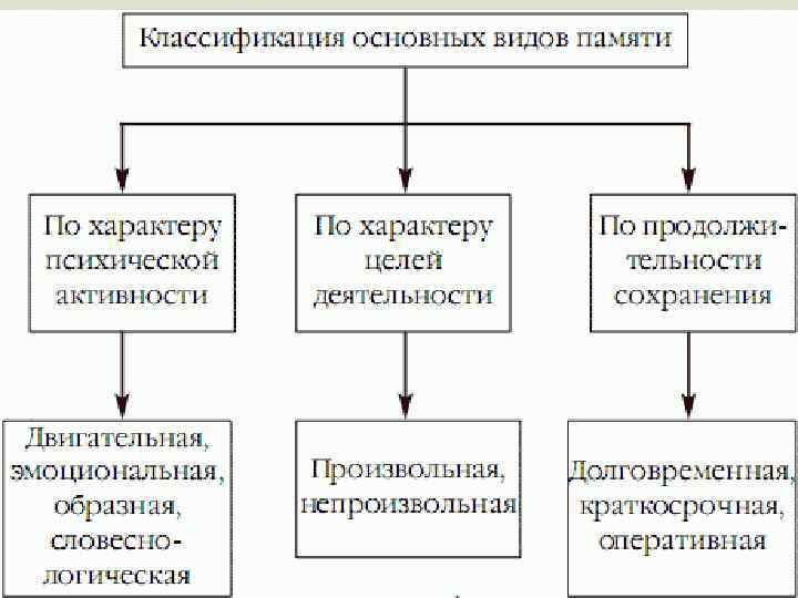 Виды памяти схема