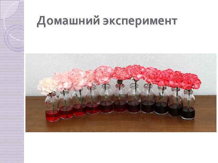 Домашний эксперимент 