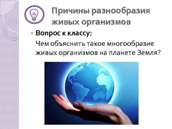 Причины разнообразия живых организмов Вопрос к классу: Чем объяснить такое многообразие живых организмов на