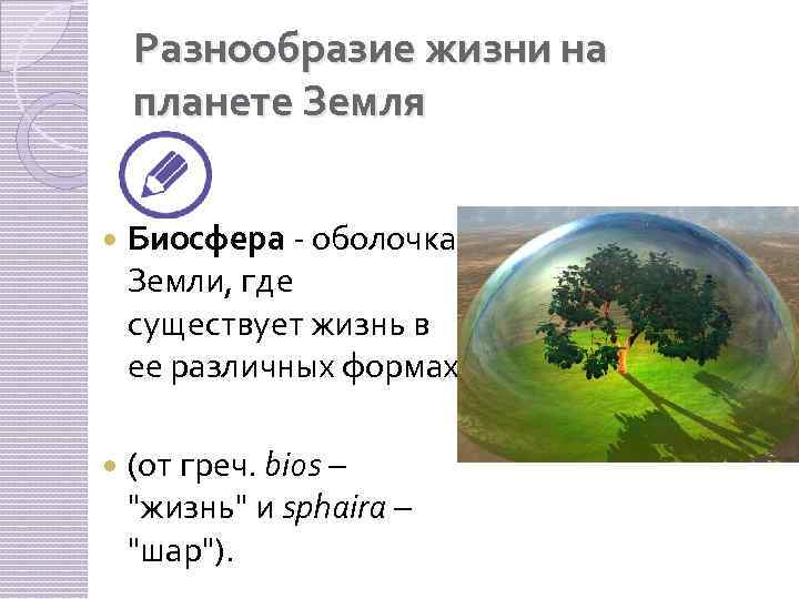 Разнообразие жизни на планете Земля Биосфера - оболочка Земли, где существует жизнь в ее