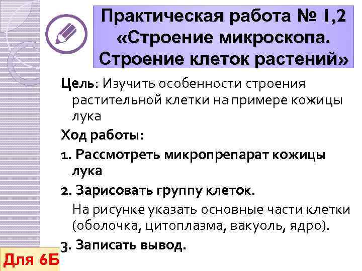 Практическая работа № 1, 2 «Строение микроскопа. Строение клеток растений» Для 6 Б Цель: