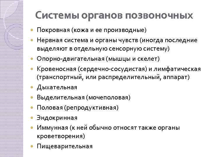 Системы органов позвоночных Покровная (кожа и ее производные) Нервная система и органы чувств (иногда