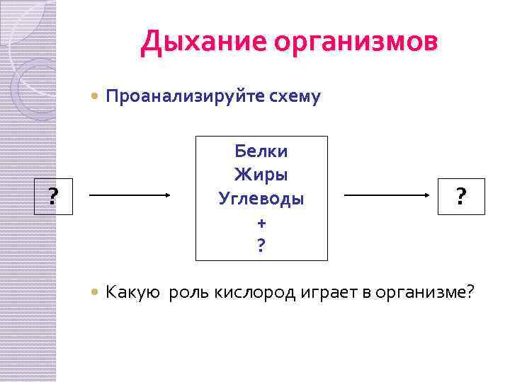 Дыхание организмов 10 класс