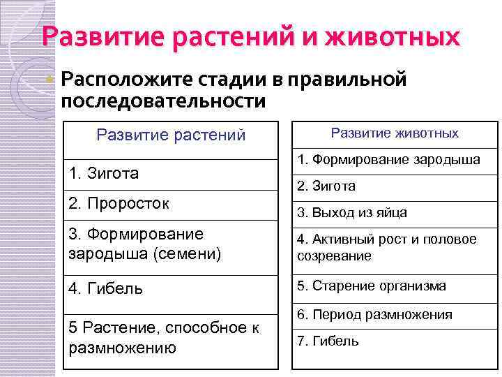 Развитие растений и животных Расположите стадии в правильной последовательности Развитие растений 1. Зигота 2.