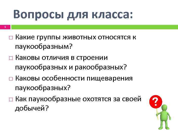 Вопросы для класса: 1 Какие группы животных относятся к паукообразным? Каковы отличия в строении