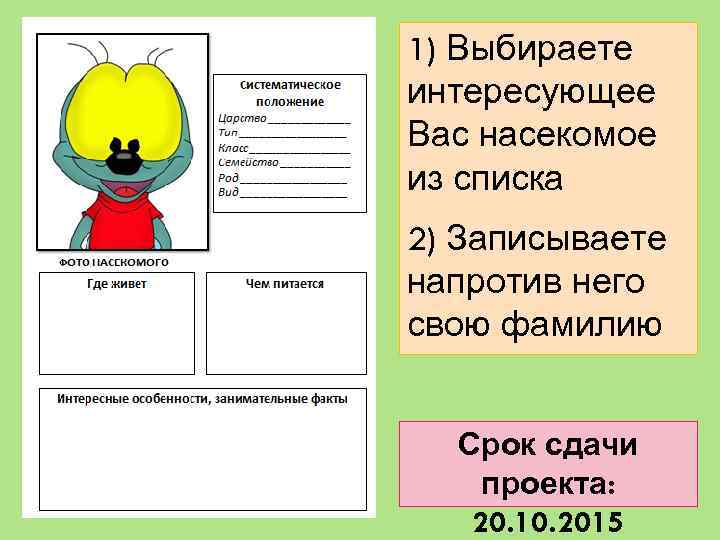 1) Выбираете интересующее Вас насекомое из списка 2) Записываете напротив него свою фамилию Срок