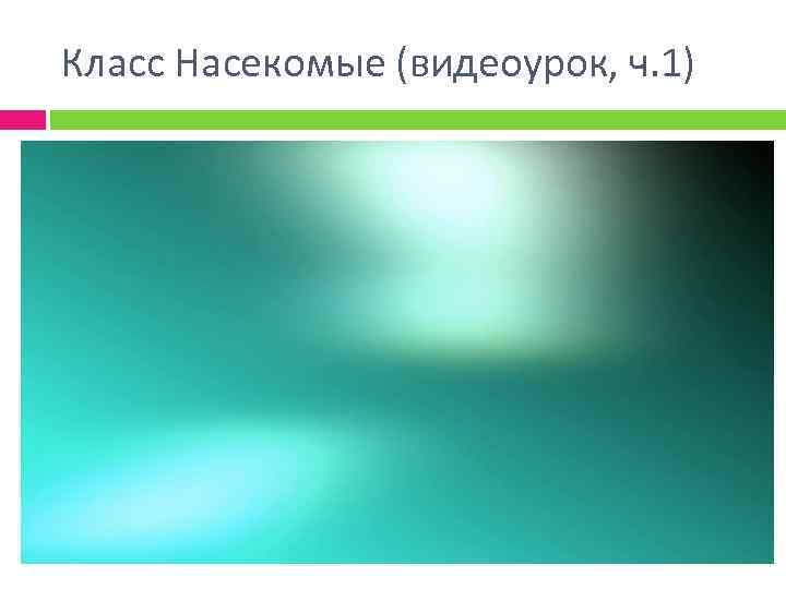 Класс Насекомые (видеоурок, ч. 1) 